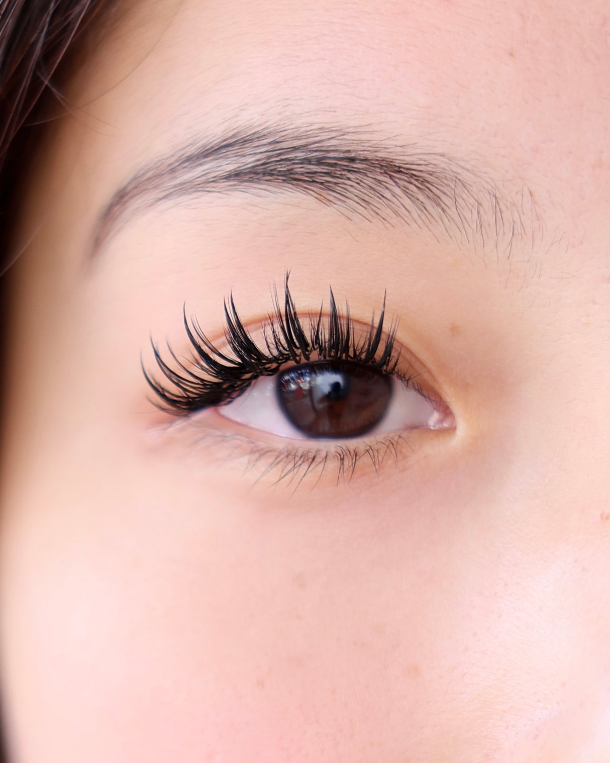 Velvet Dream Lash Tray